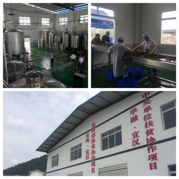 中國華融:創(chuàng)新扶貧模式 整合金融資源 全力以赴確保高質(zhì)量完成脫貧攻堅任務