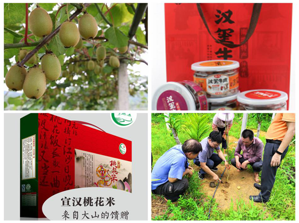 中國華融:創(chuàng)新扶貧模式 整合金融資源 全力以赴確保高質(zhì)量完成脫貧攻堅任務